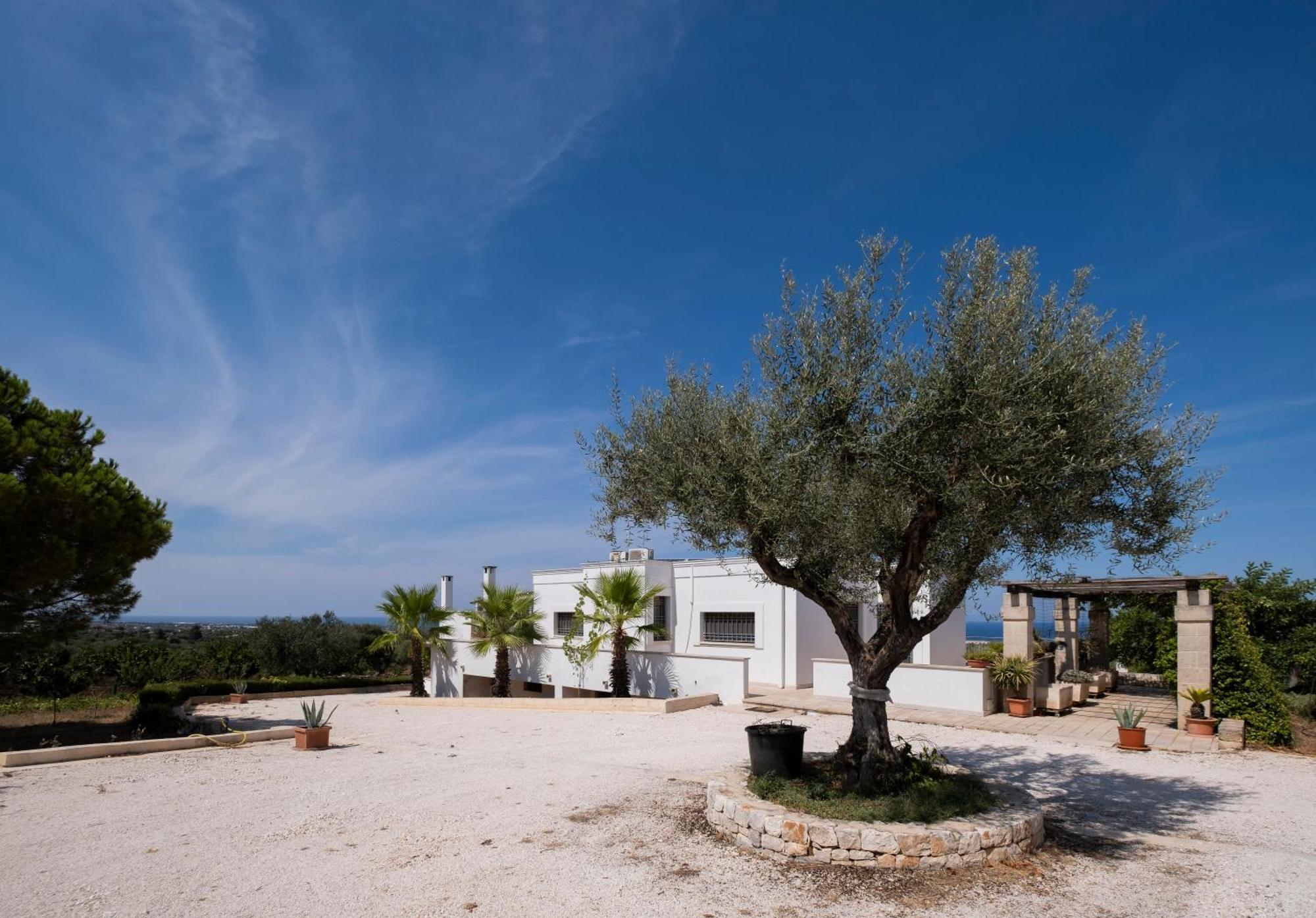 Il Carrubo Villa Polignano a Mare Eksteriør billede